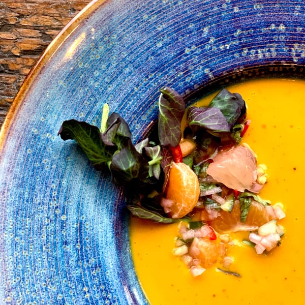 Bandaloop's vibrant orange soup with fresh greens, citrus segments, and diced vegetables in a blue bowl.